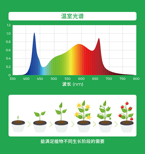 植物燈生長(zhǎng)需求